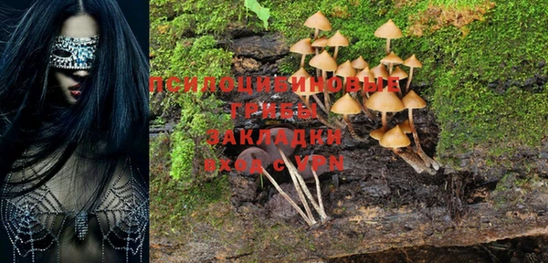 прущие крисы Балабаново