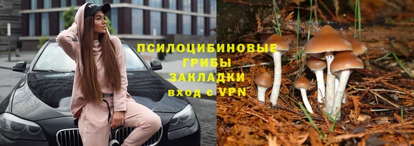 прущие крисы Балабаново