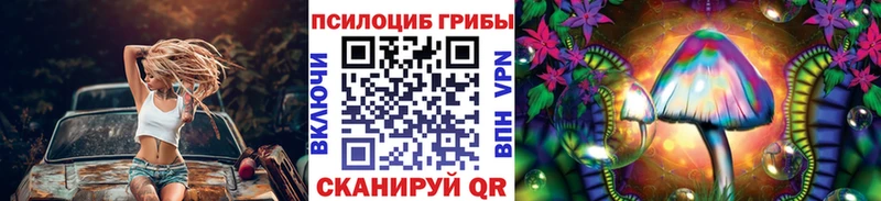 hydra как войти  Горячий Ключ  Галлюциногенные грибы Psilocybe  как найти  