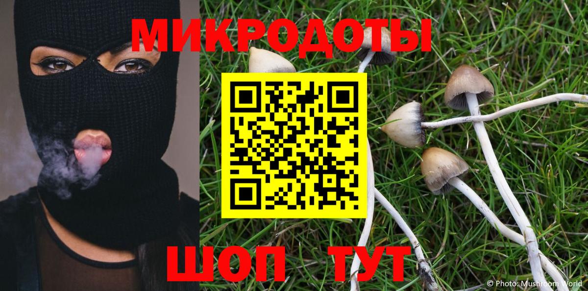 Горячий Ключ  Псилоцибиновые грибы MAGIC MUSHROOMS  Вход с VPN 